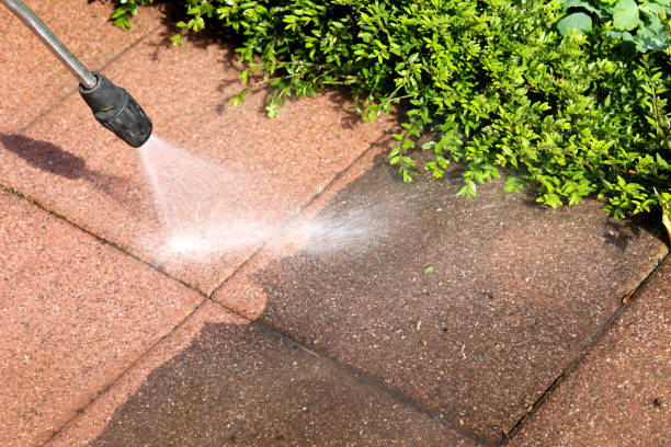 Best Roof Pressure Washing  in Landrum, SC